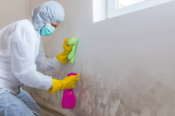 Forensic Mold Investigation in Milton, WV